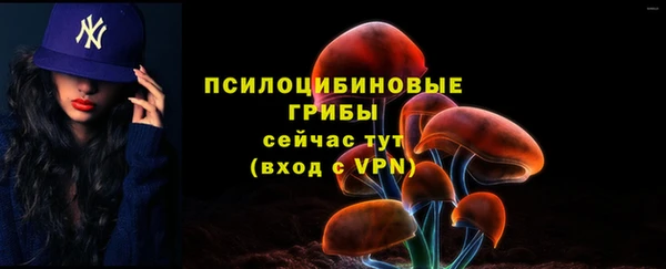 таблы Алексин