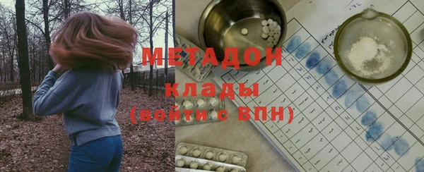 шишки Арсеньев