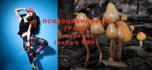 таблы Алексин