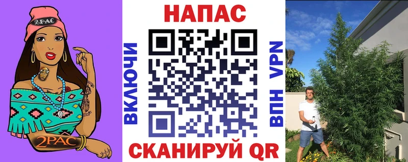 Конопля план  Бодайбо 
